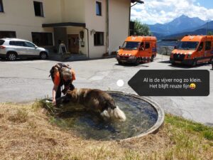 RHWW zoekactie inzet reddingshonden Oostenrijk