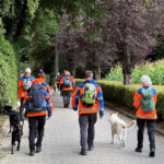 Inzet zaterdag 23 augustus Inzet zaterdag 23 augustus