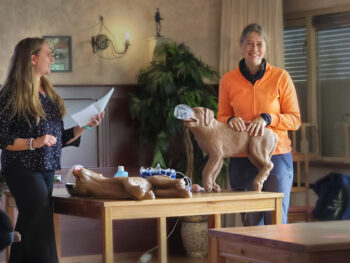 we kregen informatie over ehbo voor onze honden