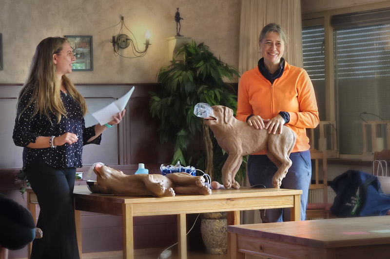 we kregen informatie over ehbo voor onze honden