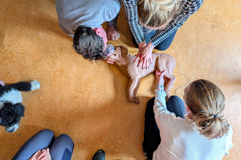 welke handelingen doe je bij een levensbedreigende situatie