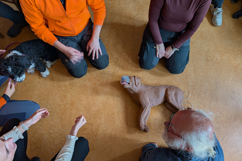 uitwisselen van informatie