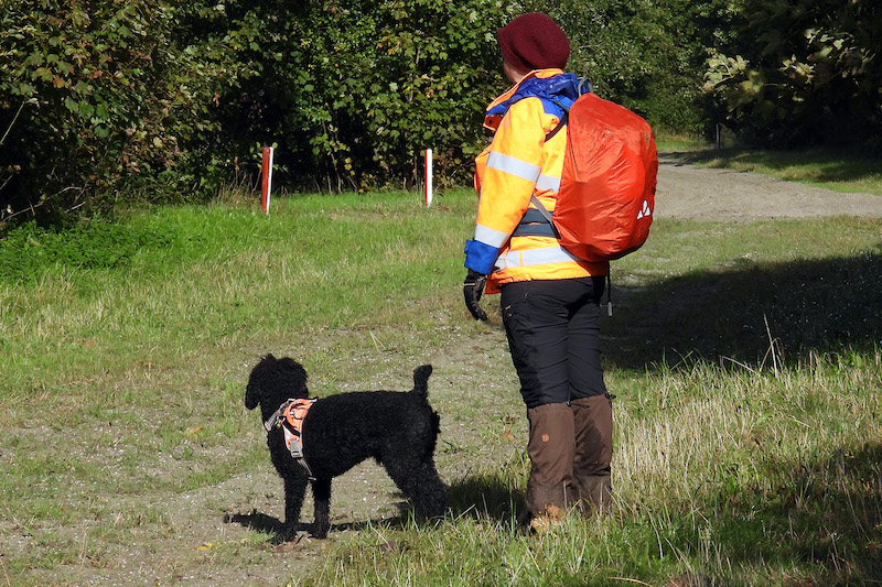Bonne wacht op een teken